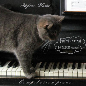 我的乱轶事结局怎么样
