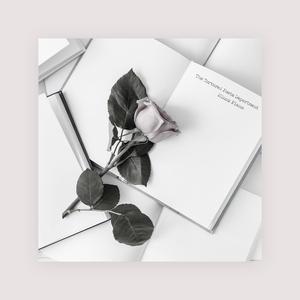 我的乱轶事结局怎么样
